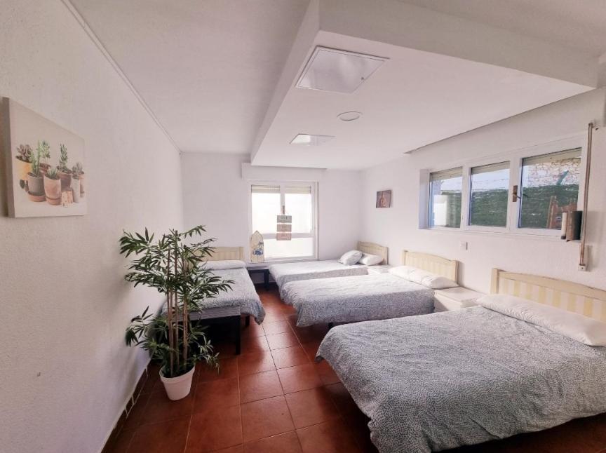 Llanes Surfcamp & Hostel エクステリア 写真