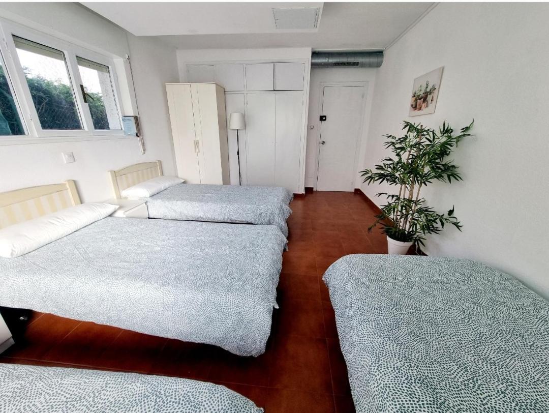 Llanes Surfcamp & Hostel エクステリア 写真